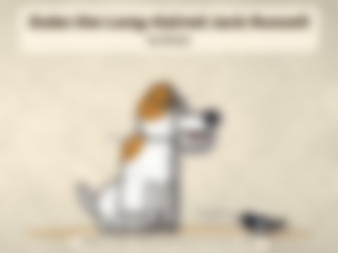 Capa de Duke, o Jack Russell Cabeludo